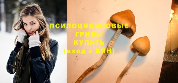 бошки Беломорск
