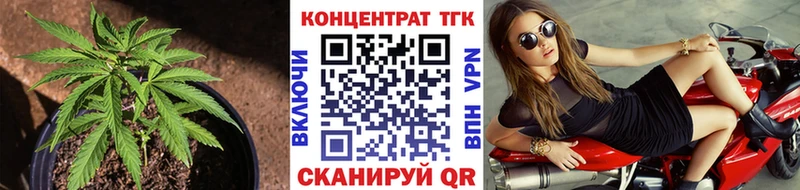 ТГК концентрат  Гулькевичи 